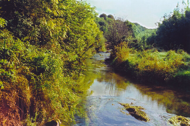 River Shannon, part of the Shannon River Basin. Photo Paddy Mackey, SWAN