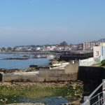 Infill could seriously impact the coastline. Photo Gillian Mills