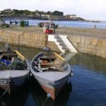 The few remaining skiffs still fishing Bullock Harbour, Dublin Bay. Photo Darina Tully