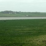 Green tide Courtmacsherry