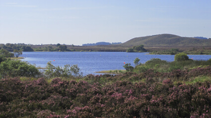 Carlingford Lough