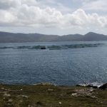 Marine Harvest site. Photo Niall Duffy