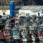 The inshore fleet at Dunmore East. Photo Gillian Mills/Inshore Ireland