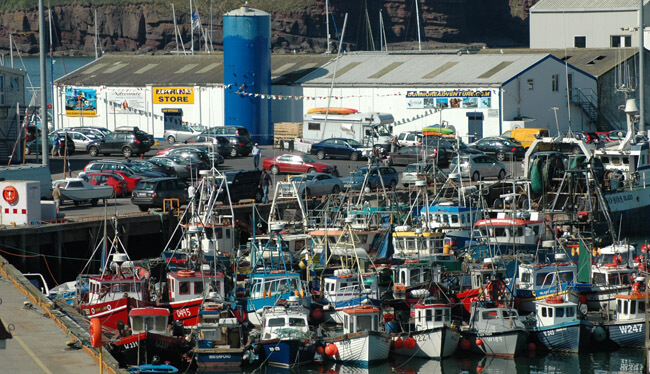 The inshore fleet at Dunmore East. Photo Gillian Mills/Inshore Ireland