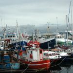The fleet at Rossaveal, Co Galway. Photo Gillian Mills/Inshore Ireland