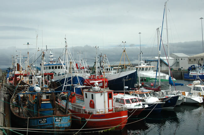 The fleet at Rossaveal, Co Galway. Photo Gillian Mills/Inshore Ireland