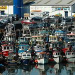 The inshore fleet at Dunmore East, Co Waterford. Photo Gillian Mills/Inshore Ireland