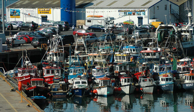 The inshore fleet at Dunmore East, Co Waterford. Photo Gillian Mills/Inshore Ireland