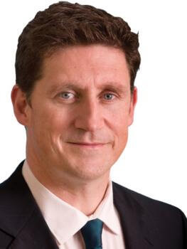 Eamon Ryan, Green Party leader