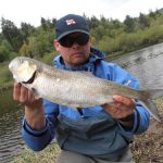 8.3angling_shad2.jpg