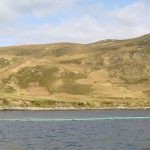 Cultivating seaweed