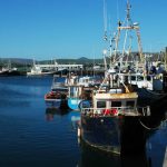 8.3your_viewmarina_dingle.jpg