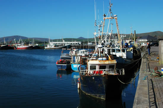 8.3your_viewmarina_dingle.jpg