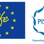 Life Project