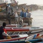 Fishing community of Kayar, Senegal. Literally millions of people eke out a living from the sea, risking life and limb in frail craft to reap a meagre harvest. Photos ICSF