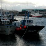 features fisheries coveney interview