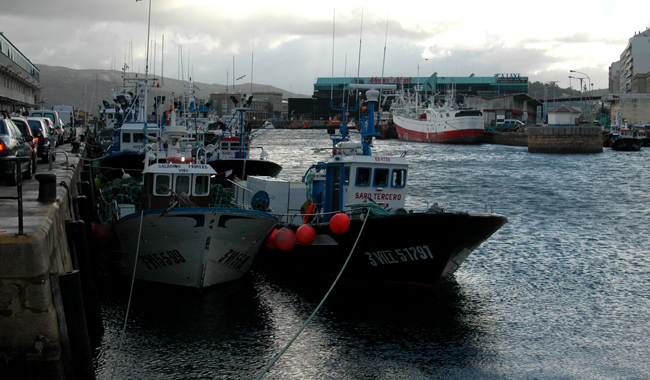 features fisheries coveney interview