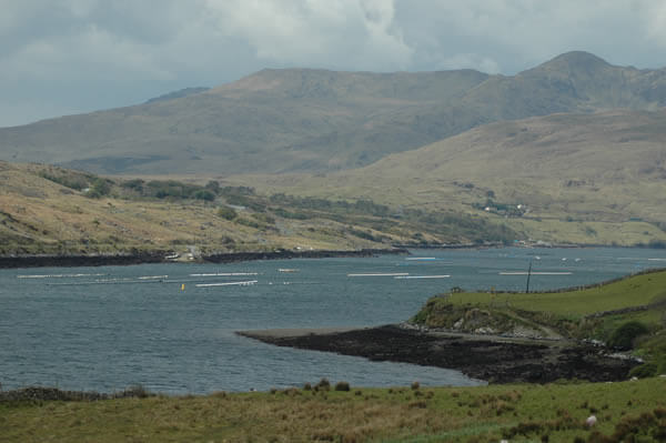 9.3aquaculture strategyDSC 5450