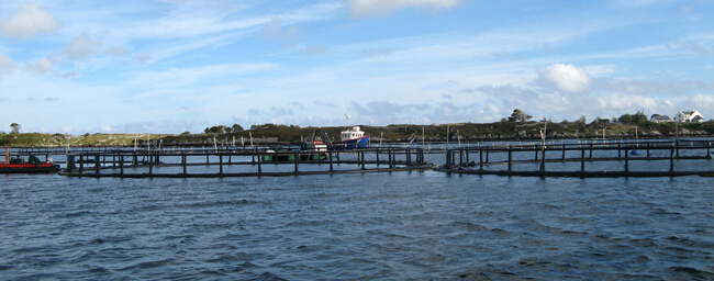9.4 Salmon cages at Muir Geal Teo
