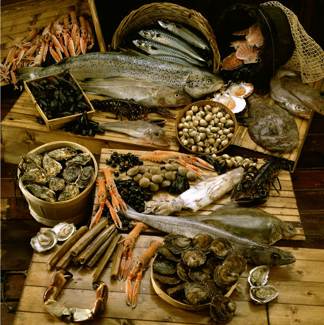 seafood
