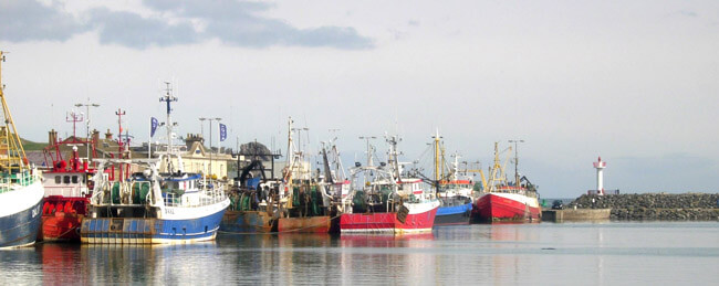 Prawn fleets operating along Ireland's east coast such a Howth, Co Dublin, Harbour are likely to see great effort on the grounds from vessels displaced from key whitefish fisheries. Photo Gillian Mills