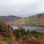 Lough-Dan