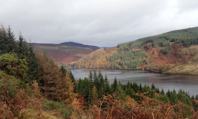 Lough-Dan