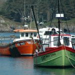 The majority of boats in the Irish fishing fleet are under 10 metres. Photo Gillian Mills