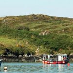 Roaringwater Bay. Photo Gillian Mills