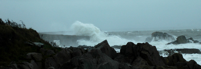 Relentless Atlantic storms that battered Ireland since mid-December were also felt along the east coast for example at Dún Laoghaire. Photo Gillian Mills