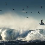 IrelandsOcean5