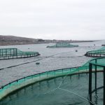 MHI water extraction