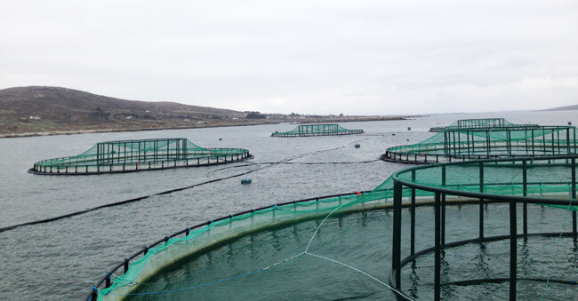 MHI water extraction