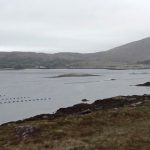 Muskerry Seafood Killmacki