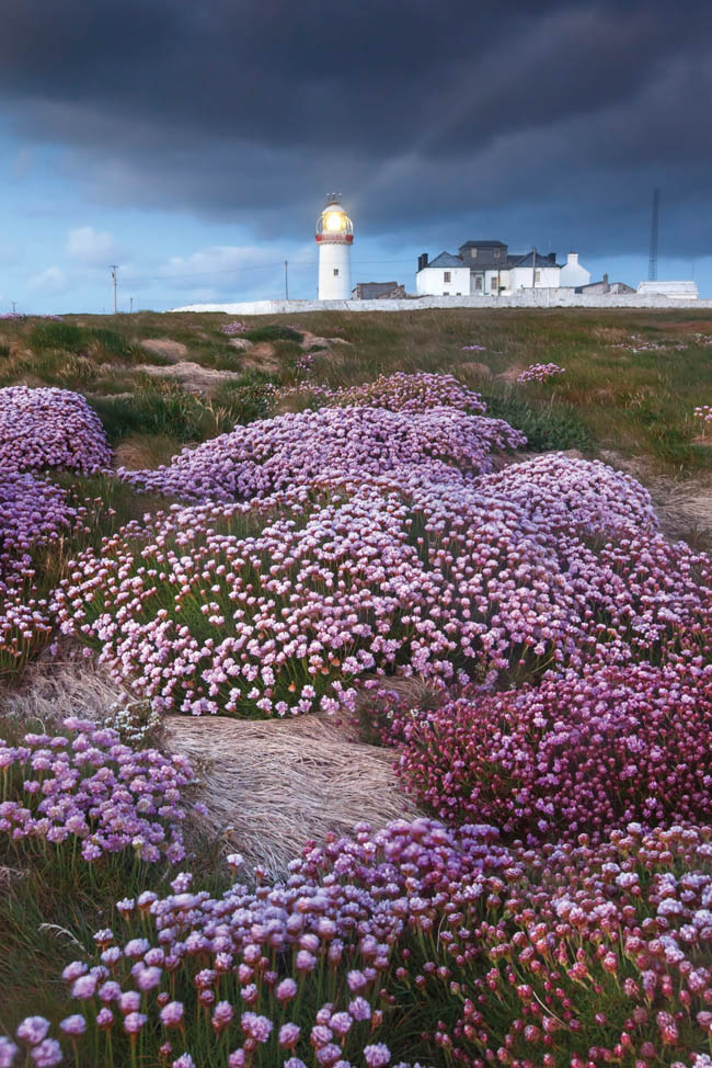 Great Lighthouse of Ireland Loop Head