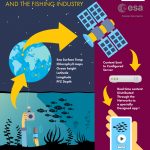 ienquire infographic fishing