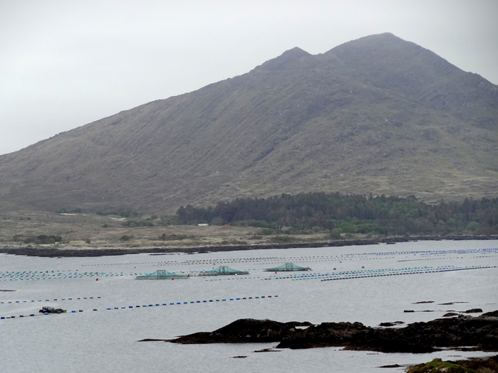 Kenmare Bay3