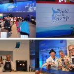 Seafest 2016
