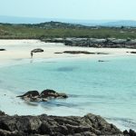 clean coasts inisbofin