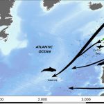 IFI Eel migration routes to the Sargasso Sea copy
