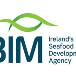 BIM new logo
