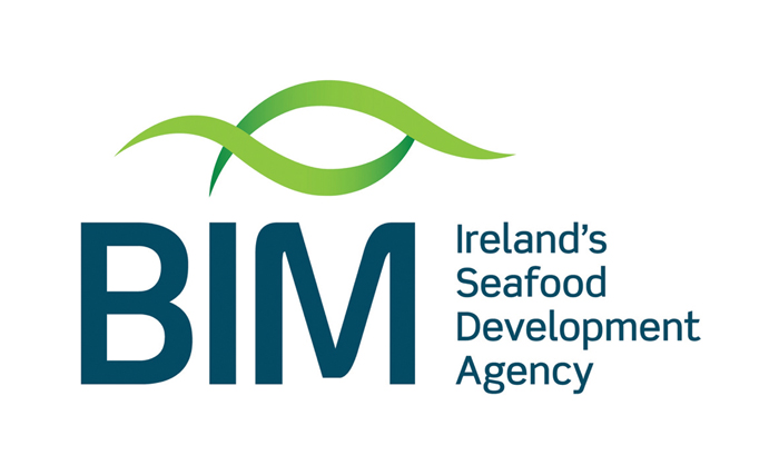 BIM new logo