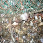 discards1