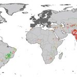 Water Footprint Network rep