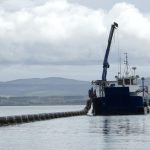 BIM 2017 Aquaculture Survey