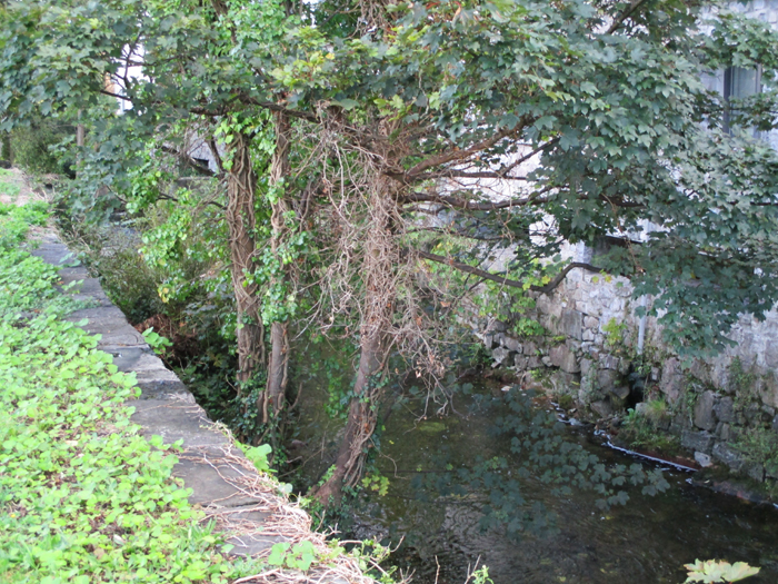 Galway Canal Parkavera River