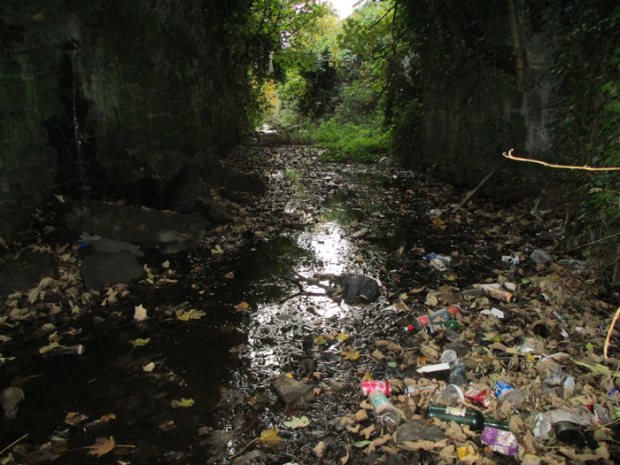 Galway Canal Slaughterhouse River