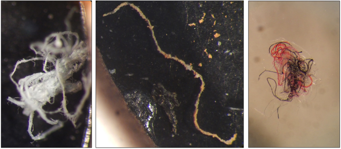 NUIG microplastic pollution