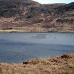 Aquaculture sea lice Bellacraher GF