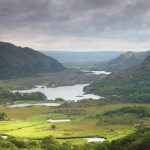 Irelands Native woodlands killarney